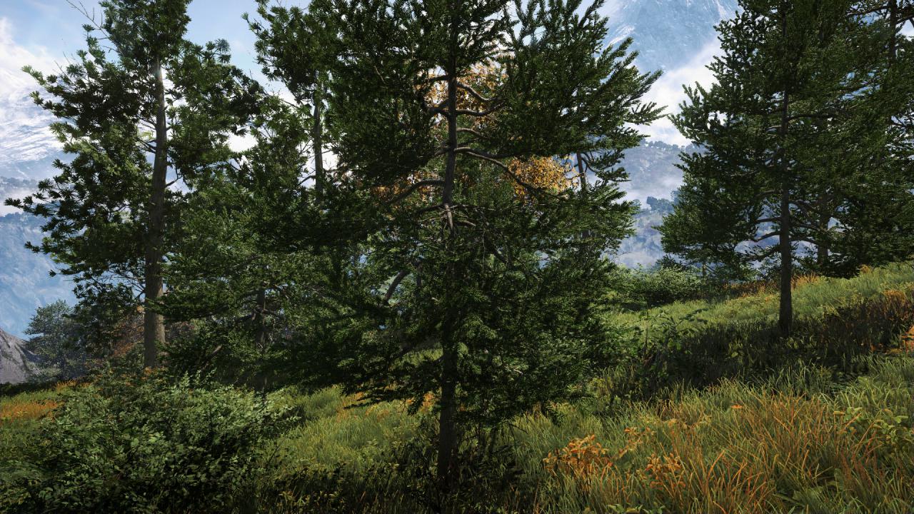 Far Cry 4 4x MSAA
