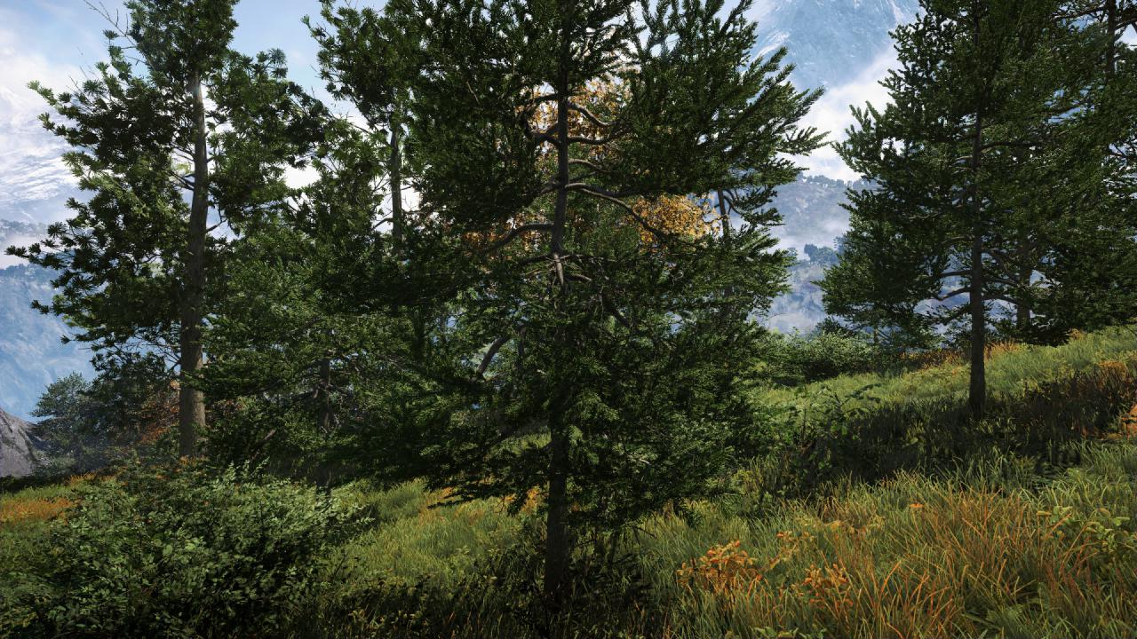 Far Cry 4 8x MSAA