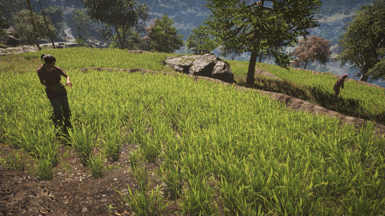 [18/11/2014] Far Cry 4 AO aus