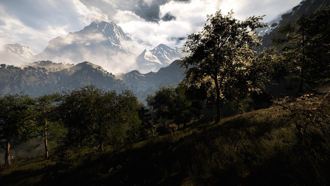 Far Cry 4 Godrays aus
