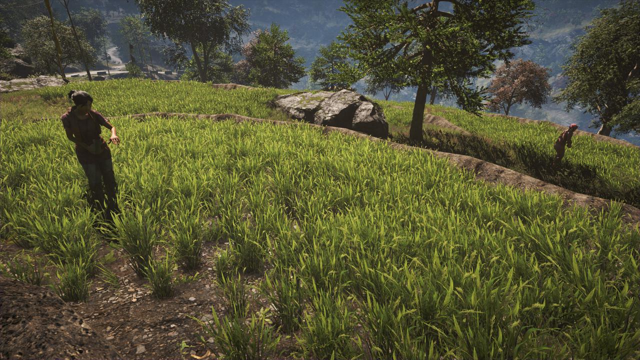 [18/11/2014] Far Cry 4 SSBC