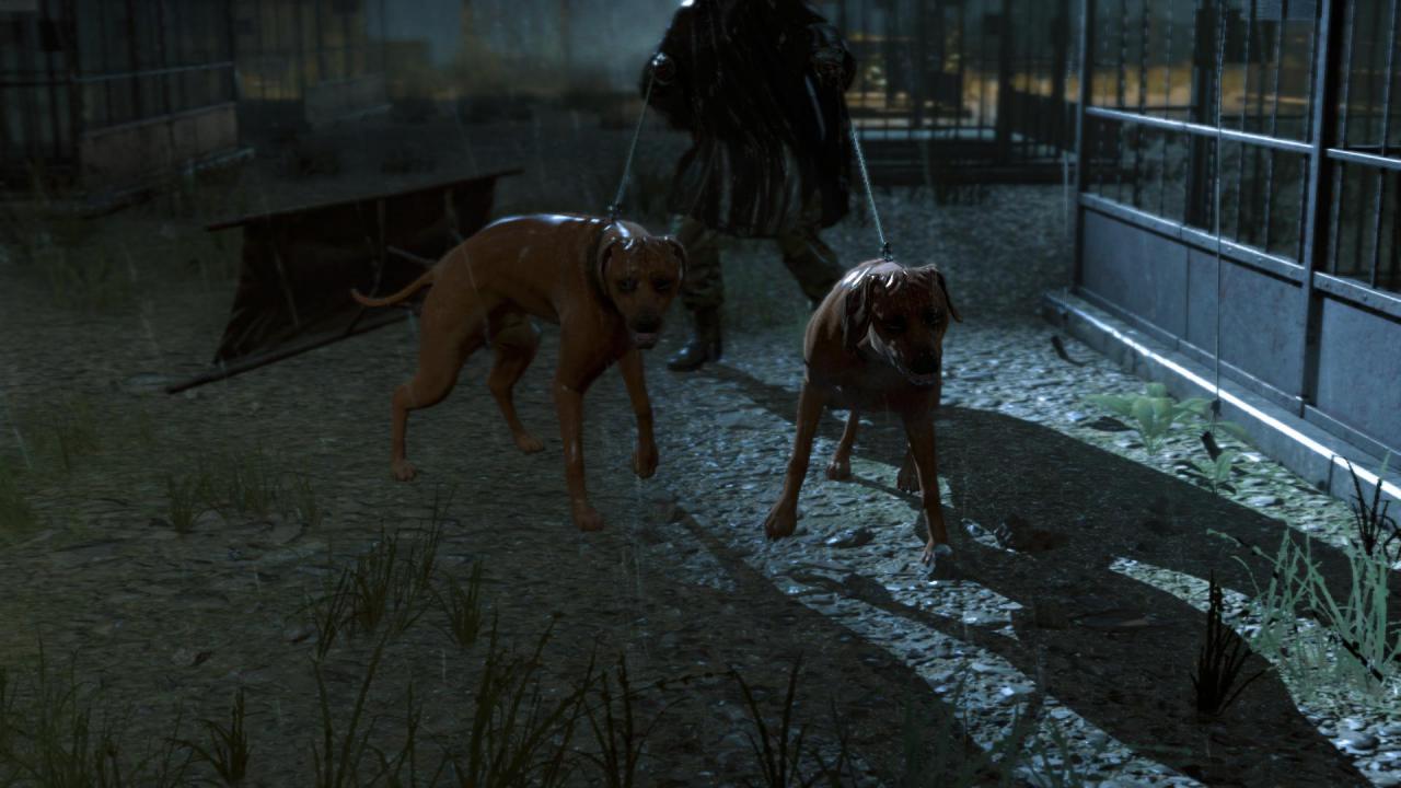 [18/12/2014] Metal Gear Solid Ground Zeroes (14)