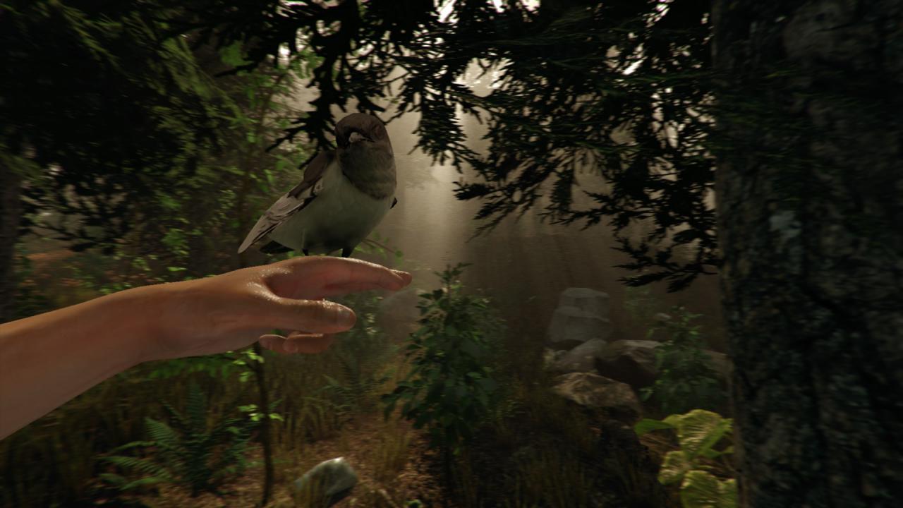 [09/12/2014] Spieler, Synonym für gespaltene Persönlichkeit. Anders kann man es nicht erklären, dass die Gruppe Menschen bei Battlefield komplett ausrastet, wenn Bugs im Spiel sind, sie aber auf Steam Greenlight billigend in Kauf genommen werden. Da ist, wie im Beispiel The Forest, eher Alarmstufe Rot angesagt, was die Qualität angeht. Jaja, early Alpha und so. Bla. Dass sich die Spiele bis zum Release erholen, muss noch bewiesen werden.