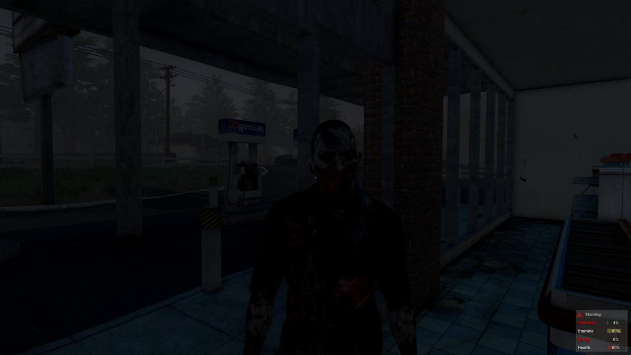 [19/01/2015] H1Z1 (8)