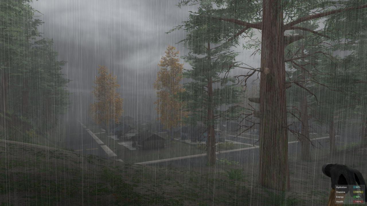 [19/01/2015] H1Z1 (19)