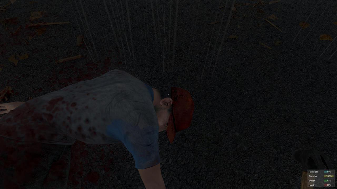 [19/01/2015] H1Z1 (21)