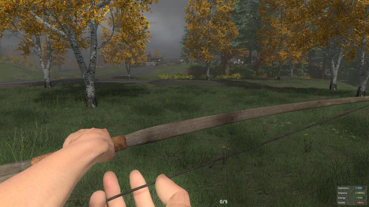 [19/01/2015] H1Z1 (31)