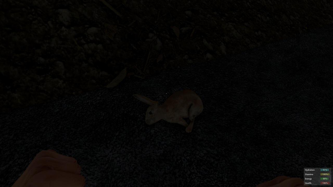 [19/01/2015] H1Z1 (34)