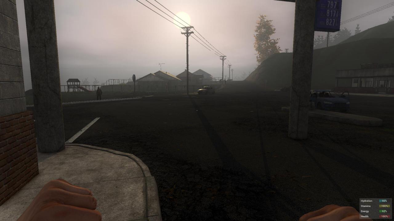 [19/01/2015] H1Z1 (37)