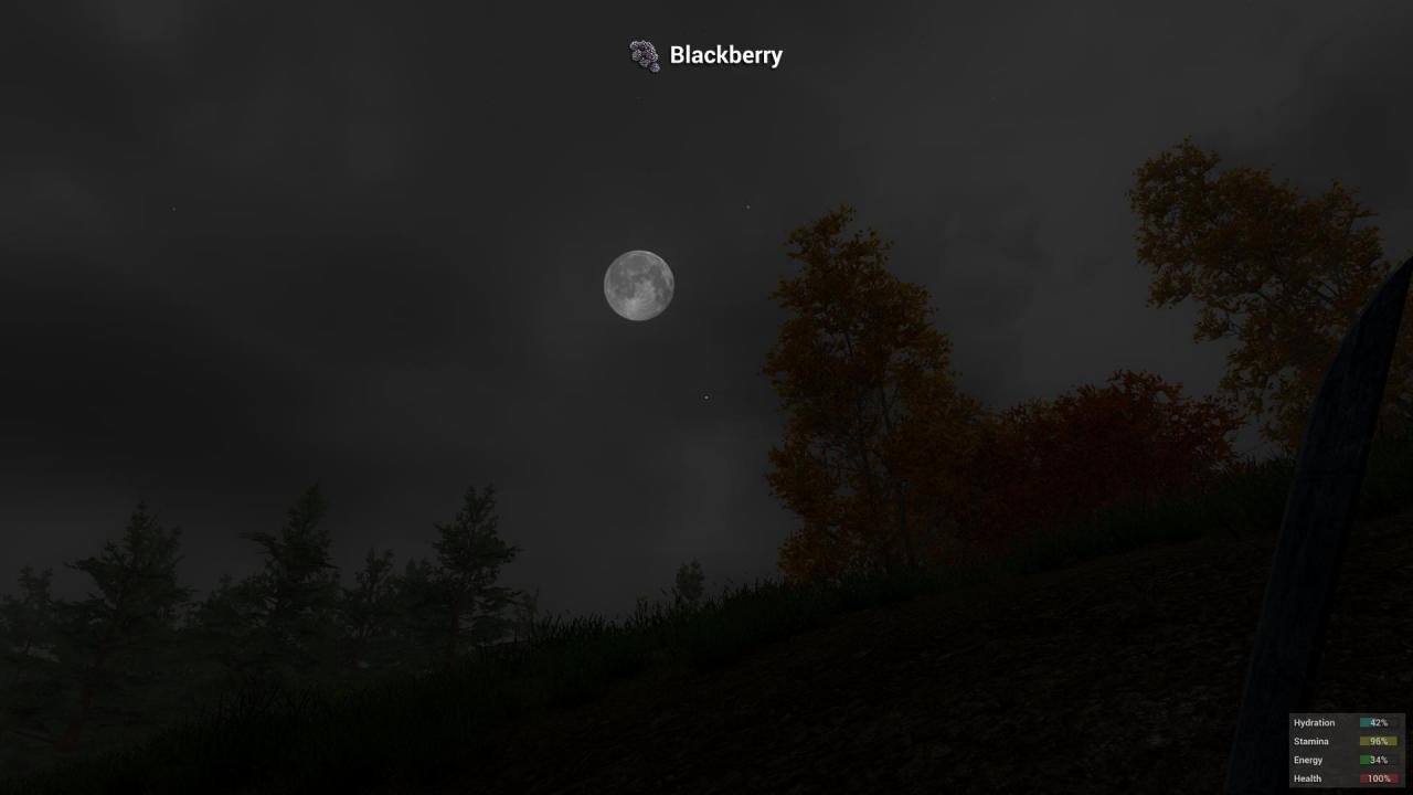 [19/01/2015] H1Z1 (42)