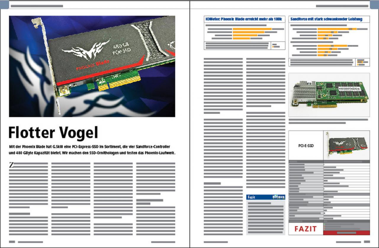 [05/01/2015] PCGH #172 (02-2015): Gskill Phoenix SSD