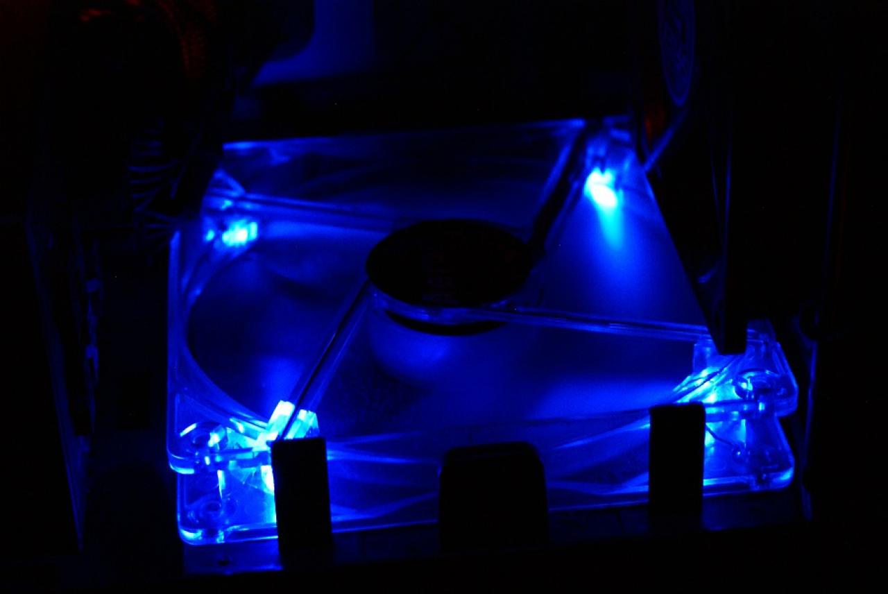 [30/01/2015] Update vom 01.02.2015 mit frostigen Impressionen (16)