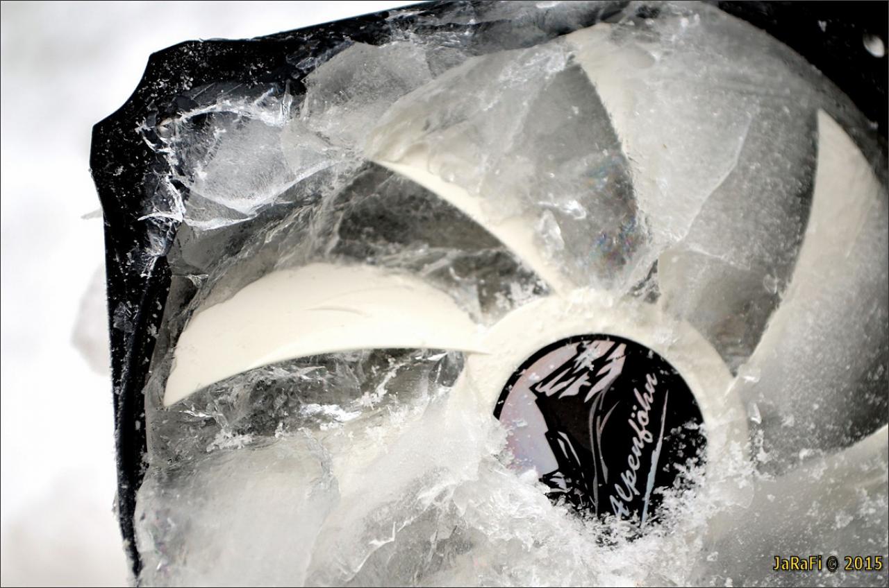 [30/01/2015] Update vom 01.02.2015 mit frostigen Impressionen (1)