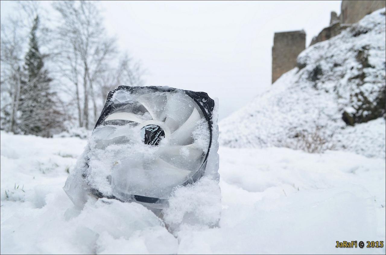 [30/01/2015] Update vom 01.02.2015 mit frostigen Impressionen (15)