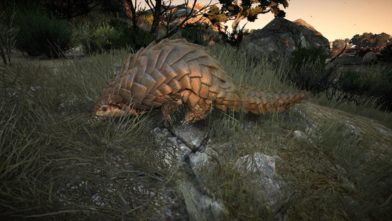 [11/02/2015] Korea-RPG Black Desert Online: Neue Screenshots aus dem Mediah-Gebiet (20)