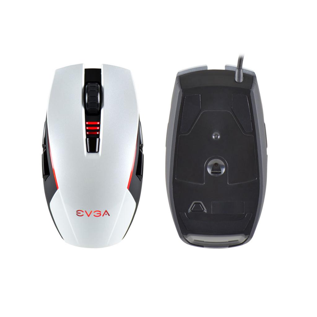 [21/02/2015] Torq X5 (2)