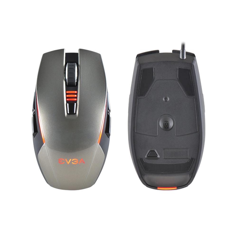 [21/02/2015] Torq X5L (1)