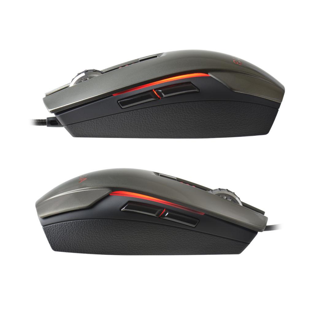[21/02/2015] Torq X5L (2)