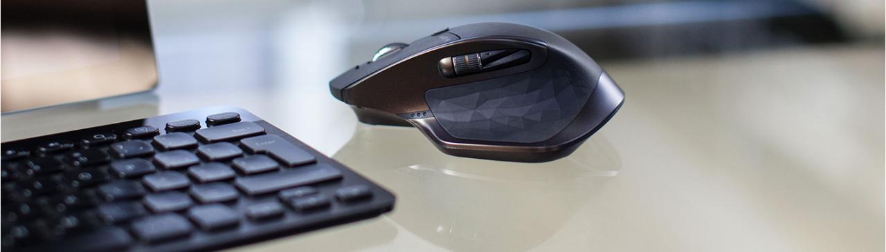 [24/03/2015] Logitech MX Master Wireless (3)