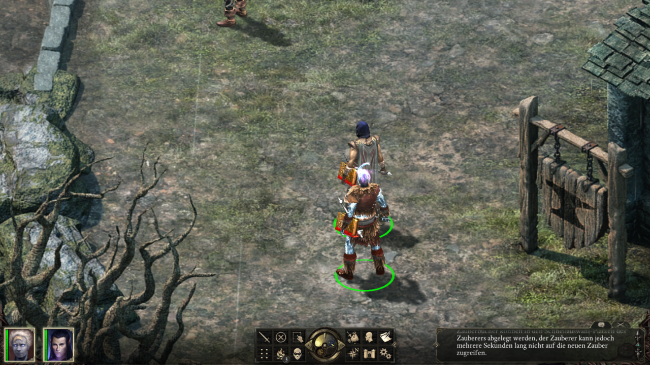 [26/03/2015] Pillars of Eternity (26)