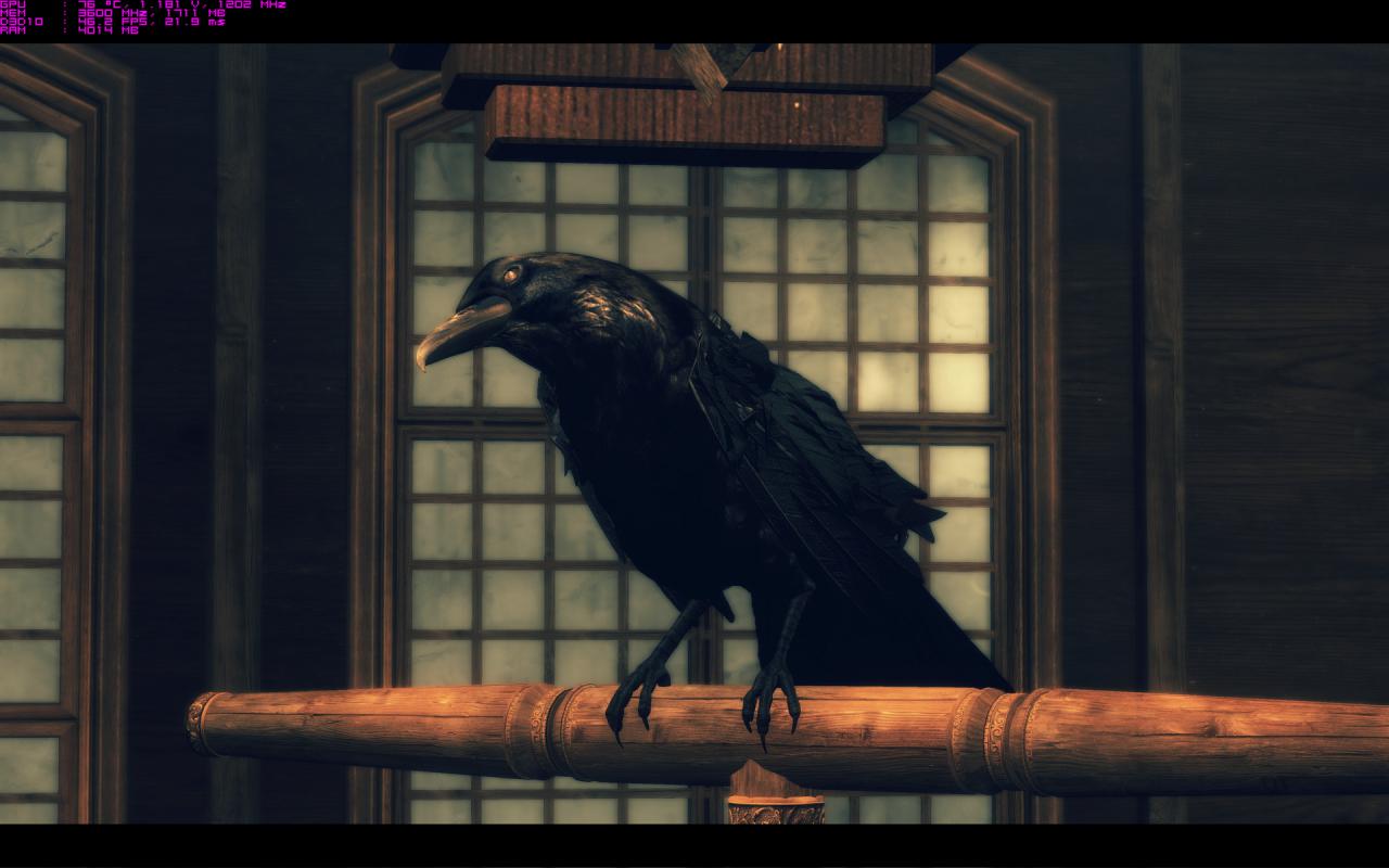 [04/03/2015] Raven's Cry maxed und downsampled (184)