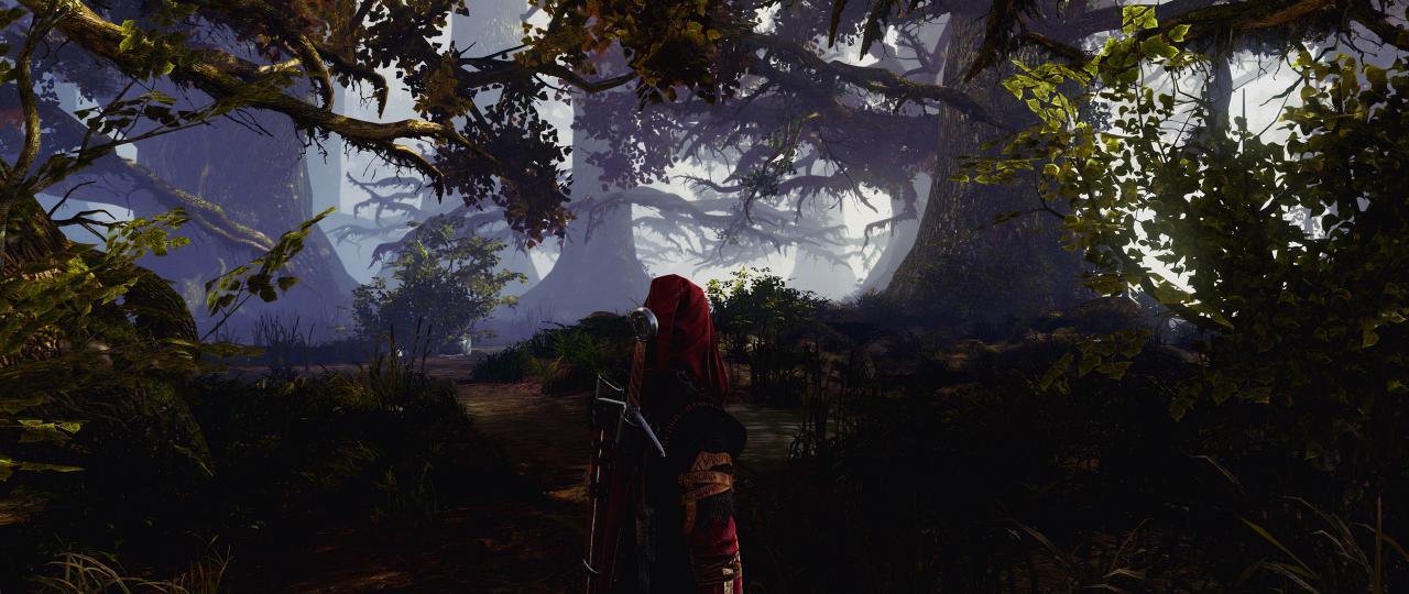 [11/03/2015] The Witcher 2 Reshade by GroinShooter