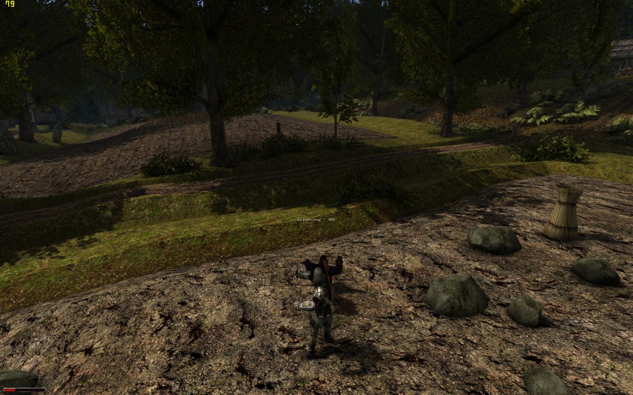 [28/04/2015] Gothic 2 (+ Die Nacht des Raben) goes Direct 3D 11 (40)