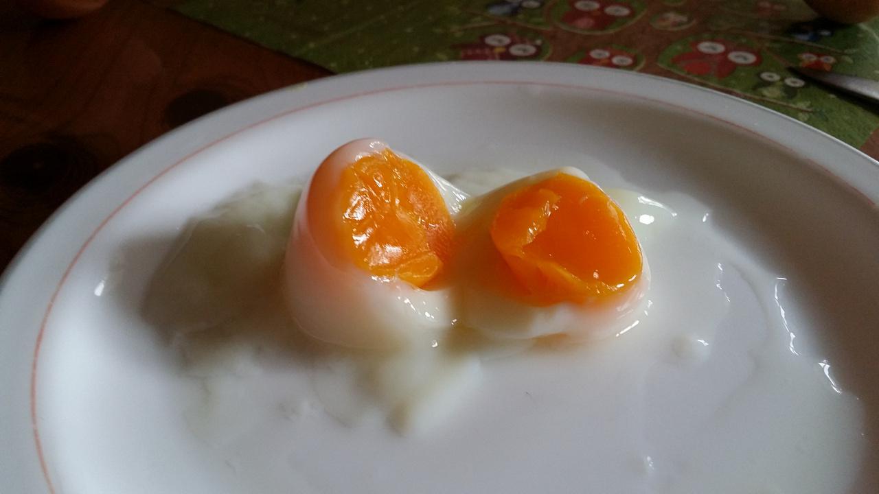 [24/04/2015] 