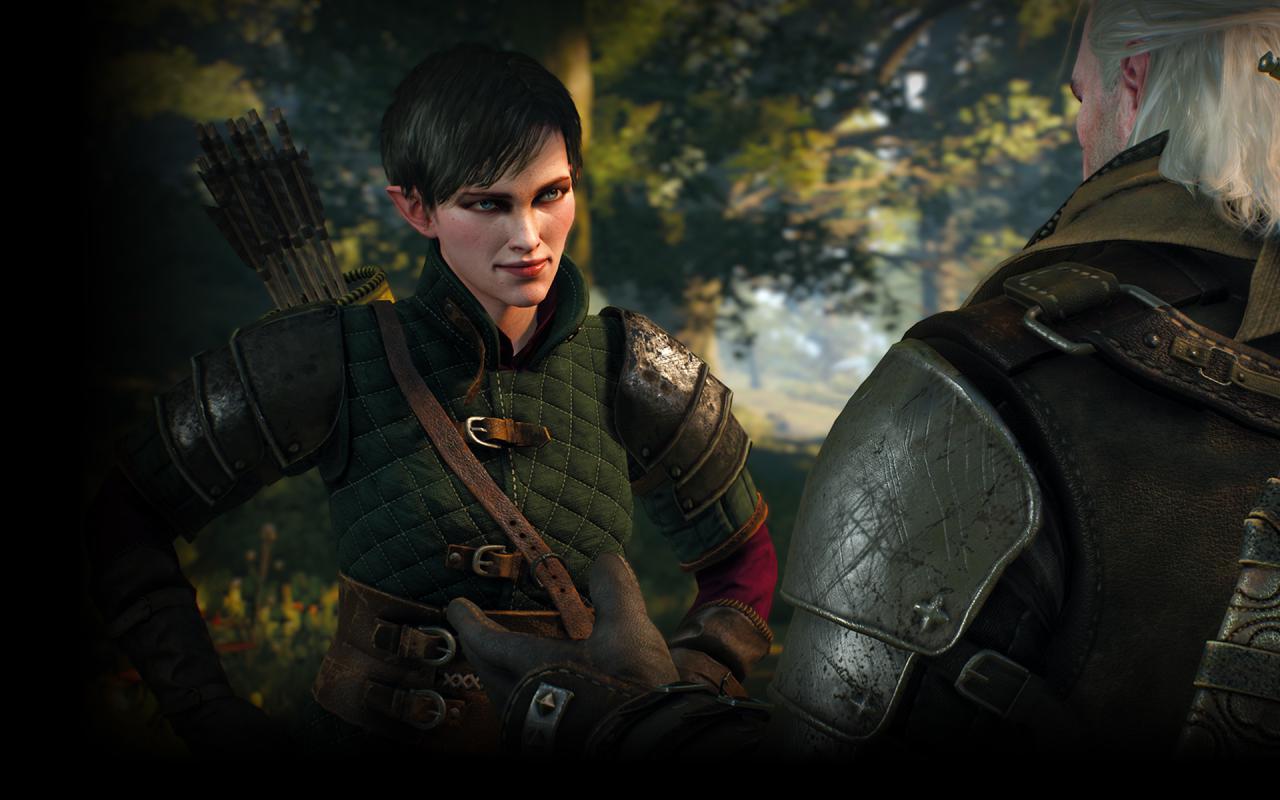 [29/04/2015] The Witcher 3