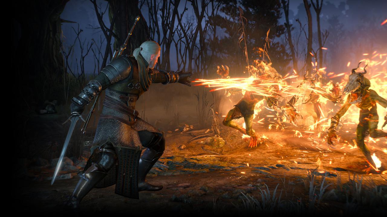 [29/04/2015] The Witcher 3