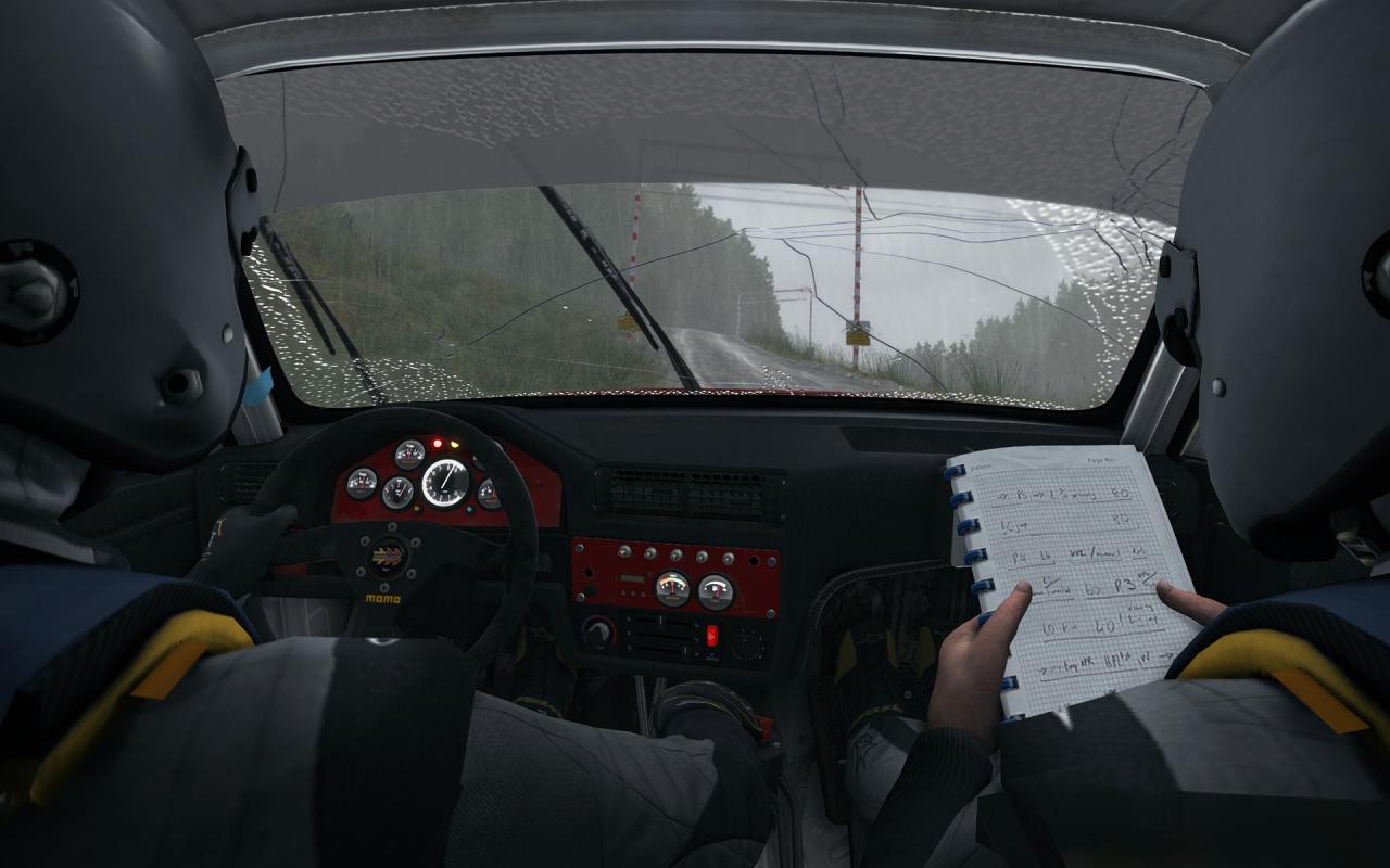 [01/05/2015] Dirt Rally: Technischer Ersteindruck (19)