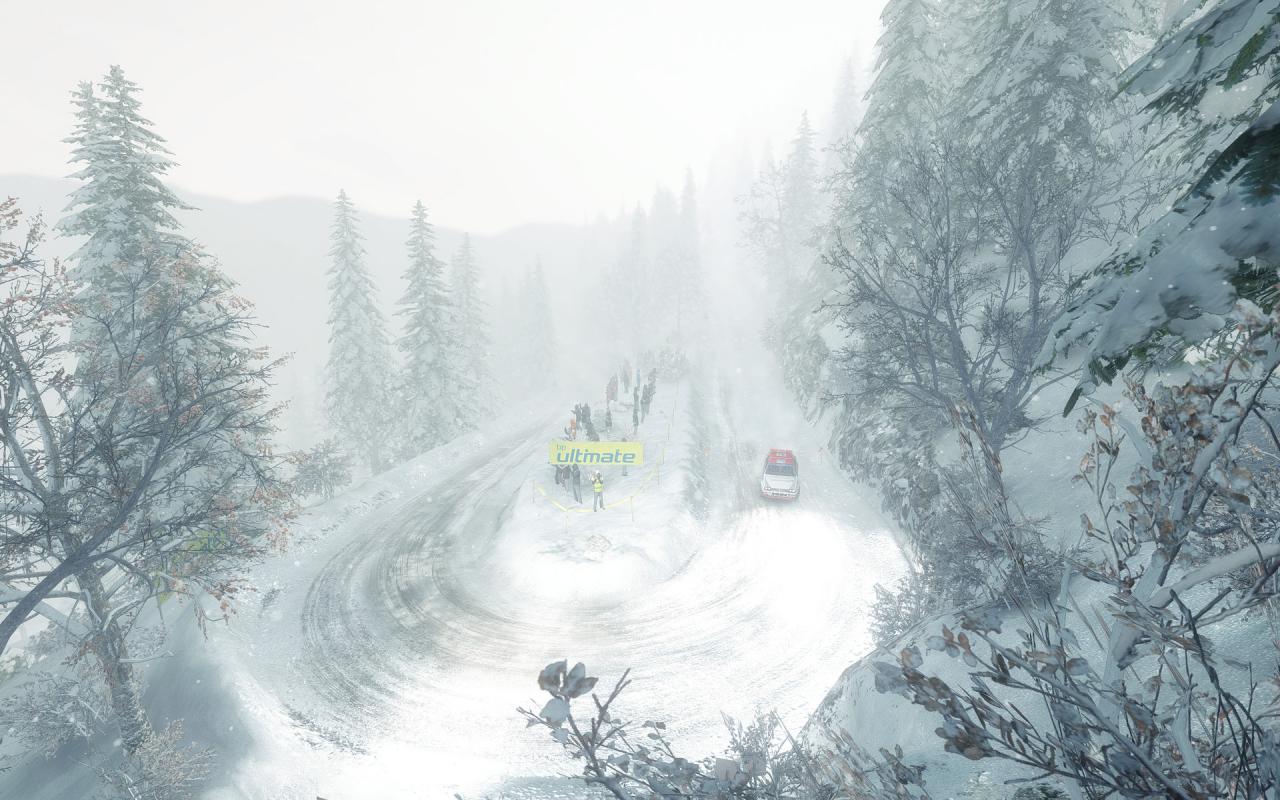 [01/05/2015] Dirt Rally: Technischer Ersteindruck (26)
