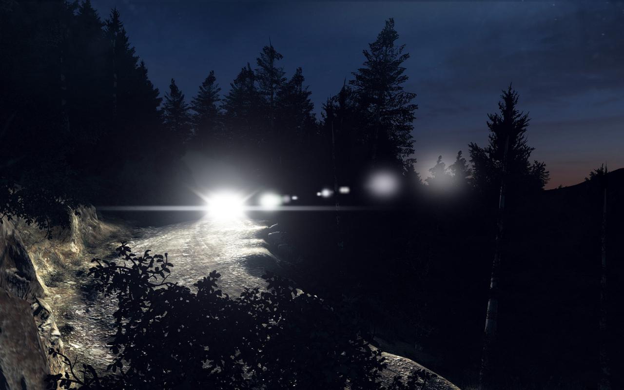 [01/05/2015] Dirt Rally 1.0 im Techniktest (32)