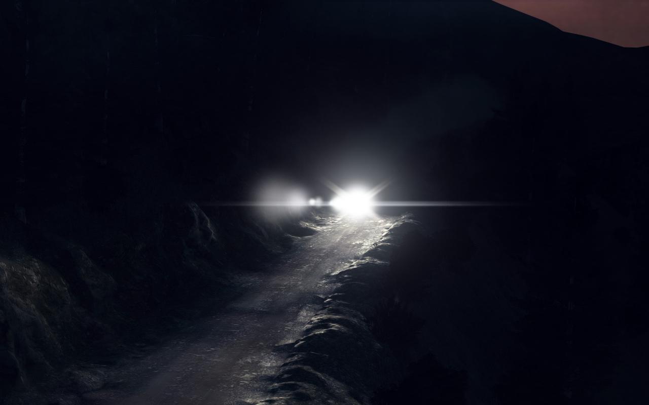 [01/05/2015] Dirt Rally: Technischer Ersteindruck (35)