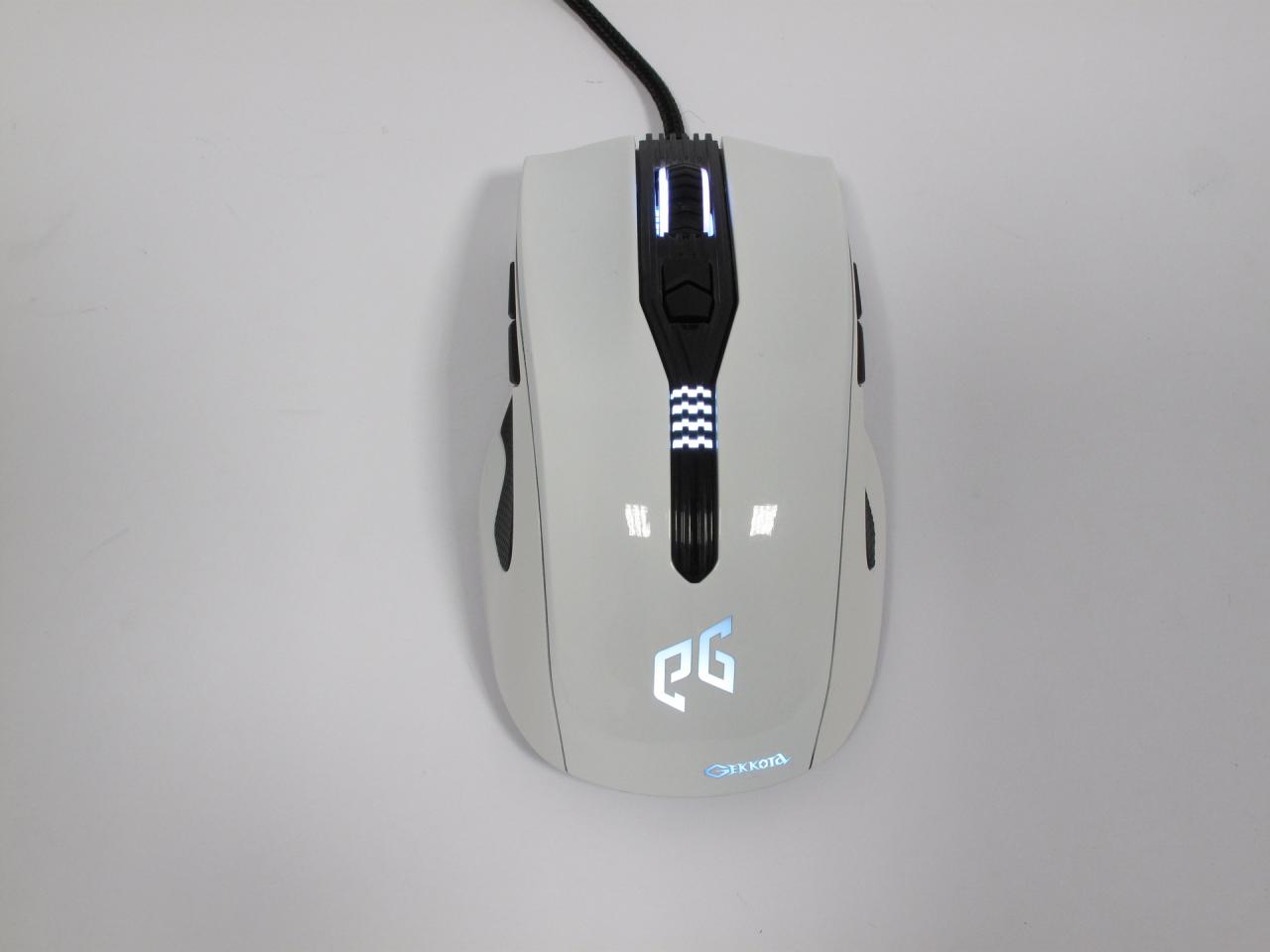 [20/05/2015] Epic Gear Gekkota - Ein perfekter Spielpartner dank symmetrischer Form und umfangreicher Software? (2)