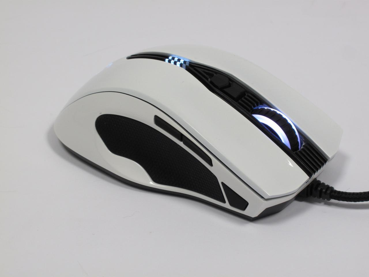 [20/05/2015] Epic Gear Gekkota - Ein perfekter Spielpartner dank symmetrischer Form und umfangreicher Software? (10)