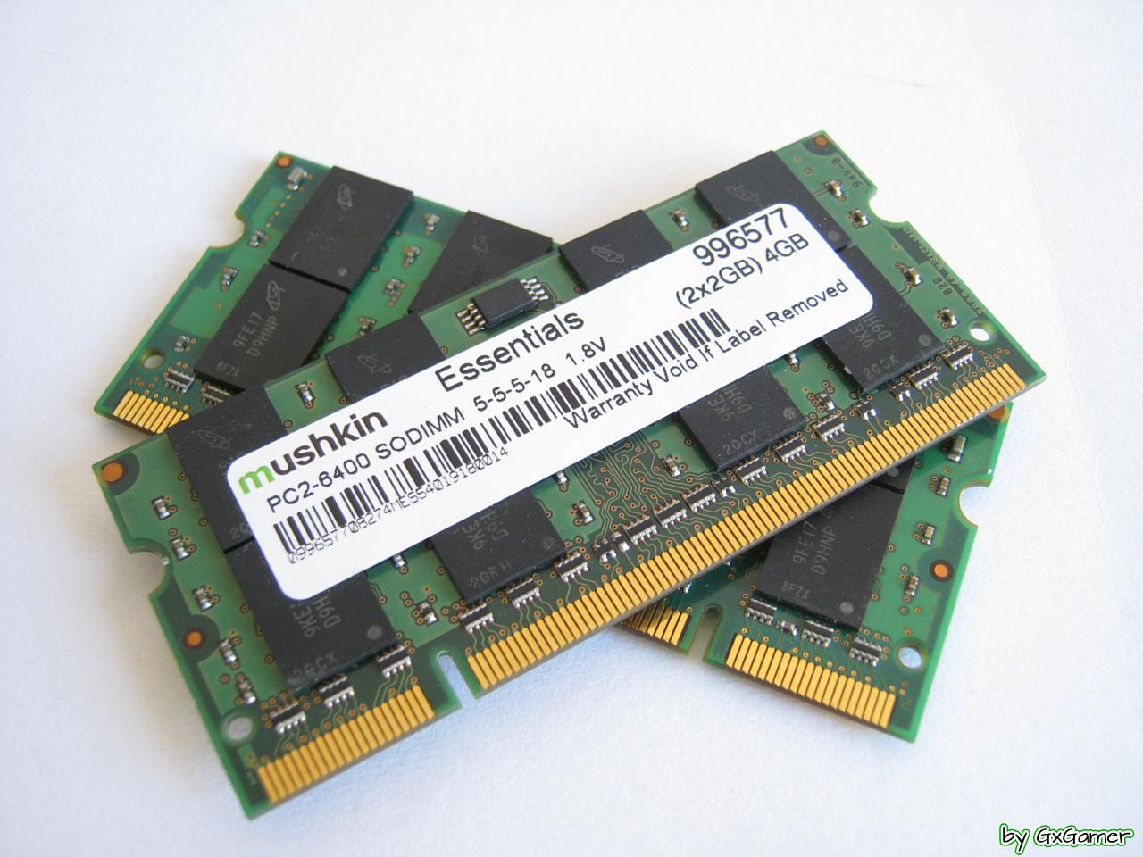 [22/05/2015] Update vom 24.05. mit lecker RAM-Salat (8)