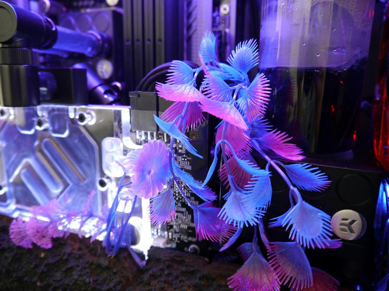 [29/05/2015] Update Mai: PC von Crownt