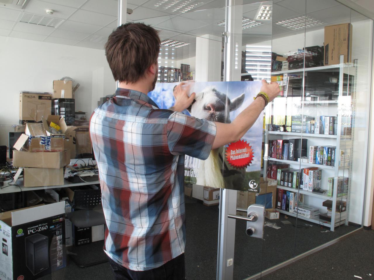 [08/05/2015] Dass Raff der wohl größte Goat-Simulator-Fan auf Erden ist, berichten wir hier ja nicht zum ersten Mal. Und dass das Plakat zum Titel die wohl wichtigste Devotionalie neben seiner 3Dfx-Tasse ist, versteht sich dann auch von selbst. Sie können sich ja sicher auch den Schock des Downsampling-Verfechters vorstellen, als die Fensterreiniger das Kleinod entfernt und auf unseren Kartonhaufen (den sehen Sie später noch) geworfen hat. Kaum war die fleißige Putzkolonne wieder verschwunden, sah es Herr Vötter als seine Pflicht an, die Testlabor-Deko sofort wieder aufzuhängen.