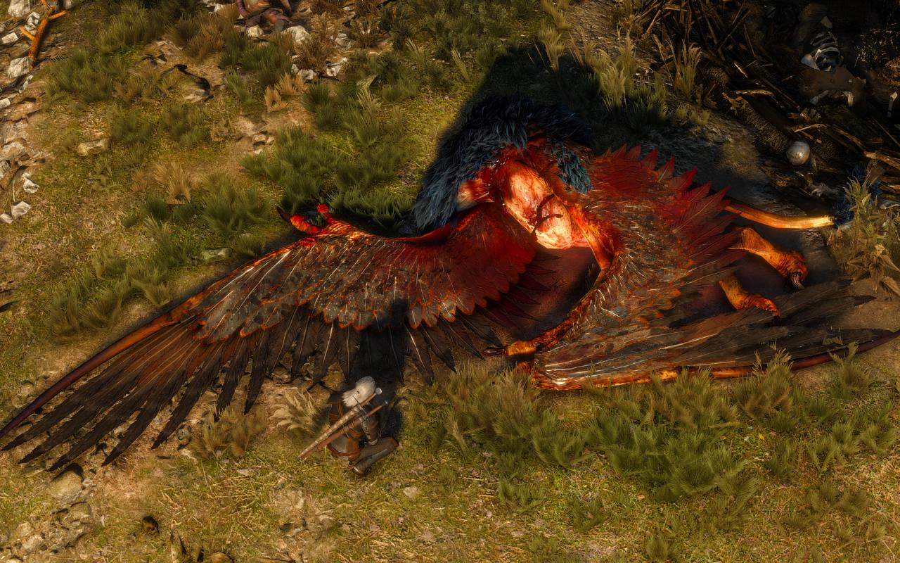 [19/05/2015] The Witcher 3: 