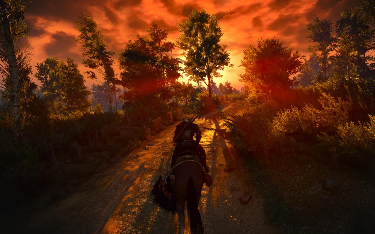 [19/05/2015] The Witcher 3: Angepasster Catalyst-Treiber kommt nächste Woche