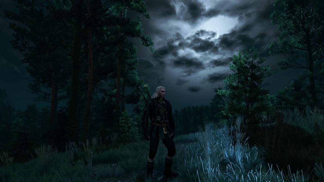 [27/05/2015] The Witcher 3 PCGH-Enthusiast (Hoch) (1)