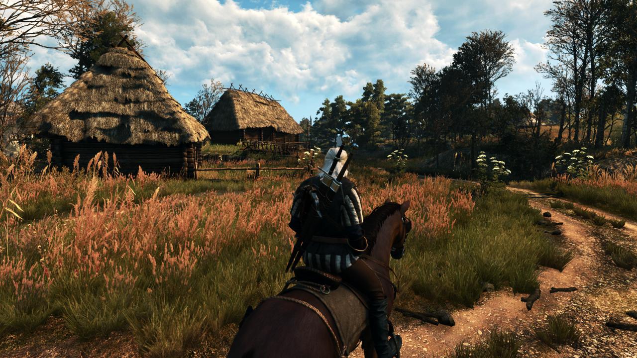 [27/05/2015] The Witcher 3 PCGH-Enthusiast (Hoch) (5)