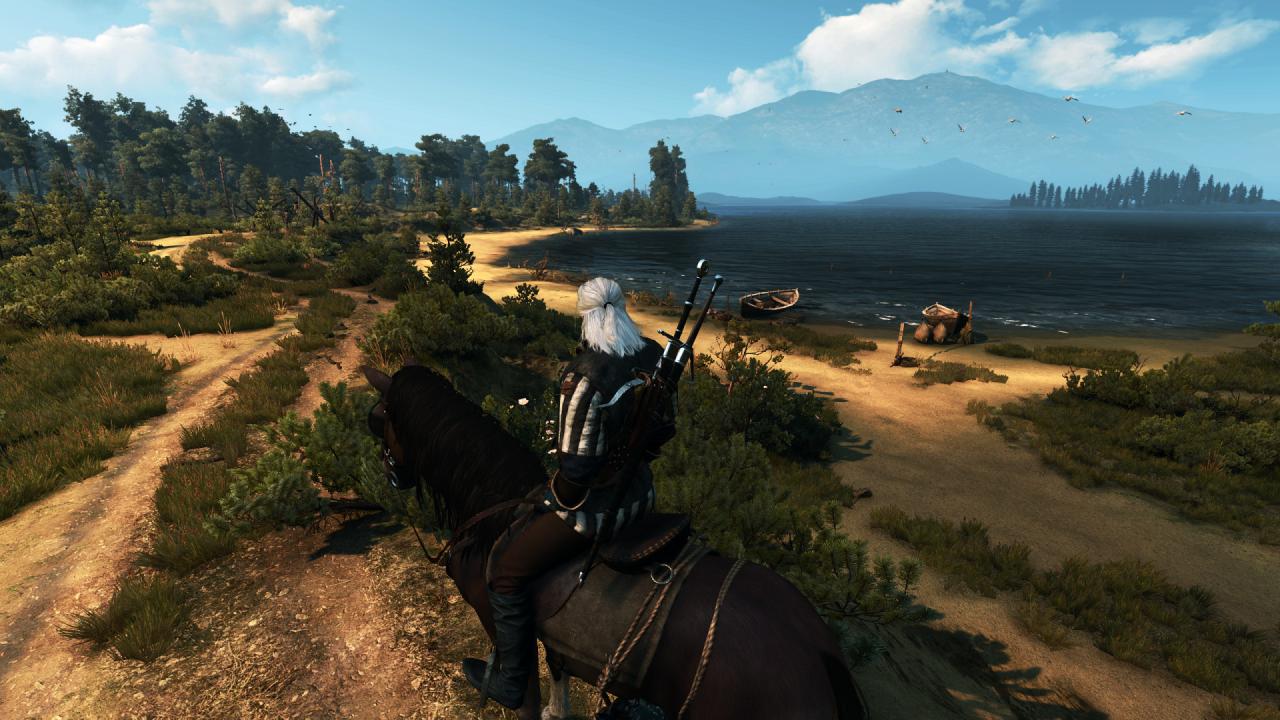 [27/05/2015] The Witcher 3 PCGH-Enthusiast (Hoch) (8)