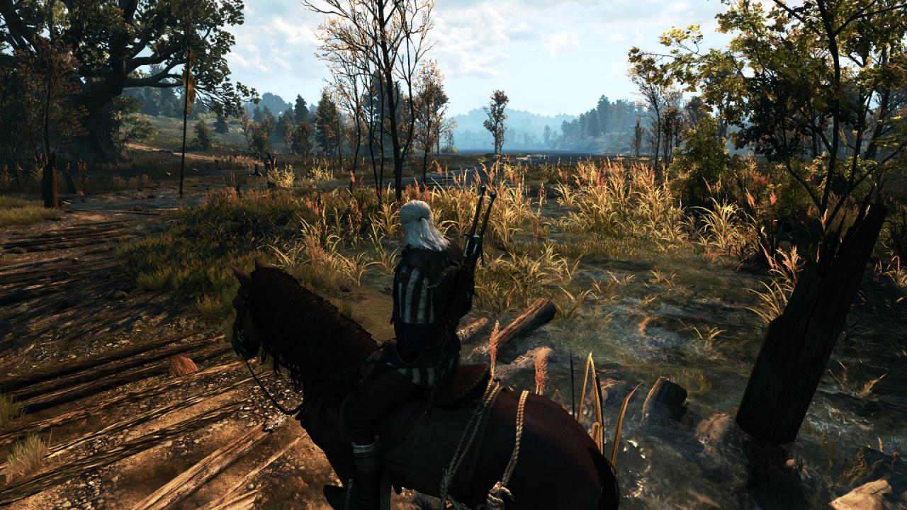 [27/05/2015] The Witcher 3 PCGH-Enthusiast (Hoch) (9)