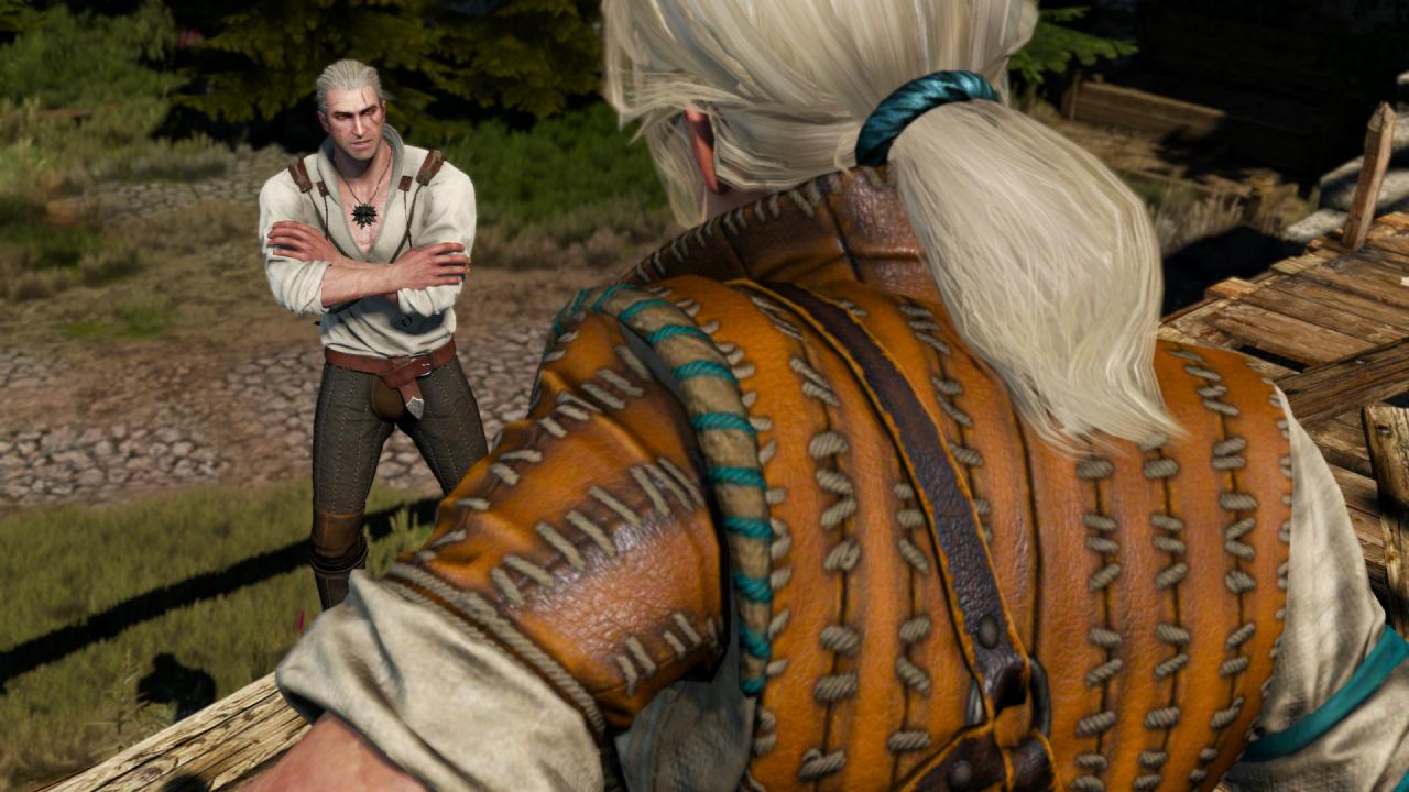 [15/05/2015] The Witcher 3 (11)