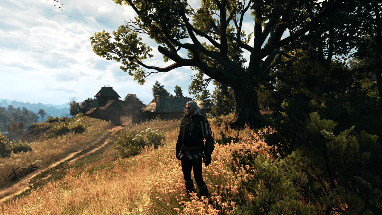 [27/05/2015] The Witcher 3 PCGH-Enthusiast (Hoch) (11)