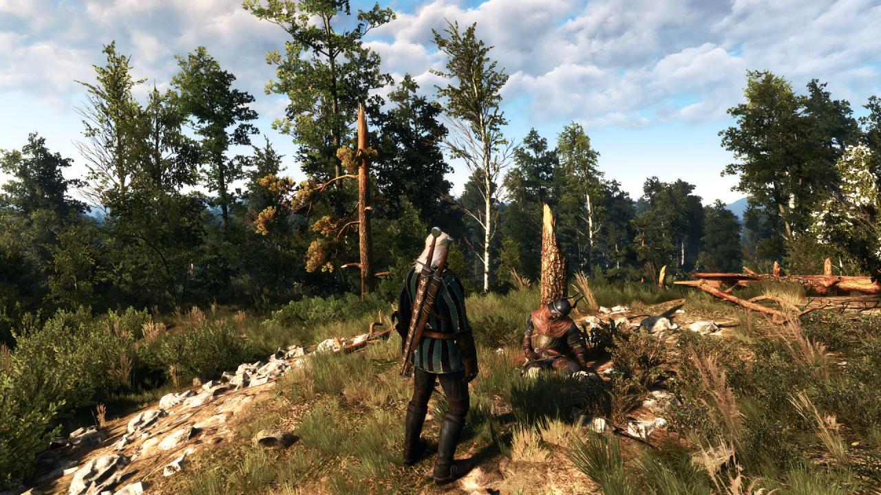[27/05/2015] The Witcher 3 PCGH-Enthusiast (Hoch) (14)