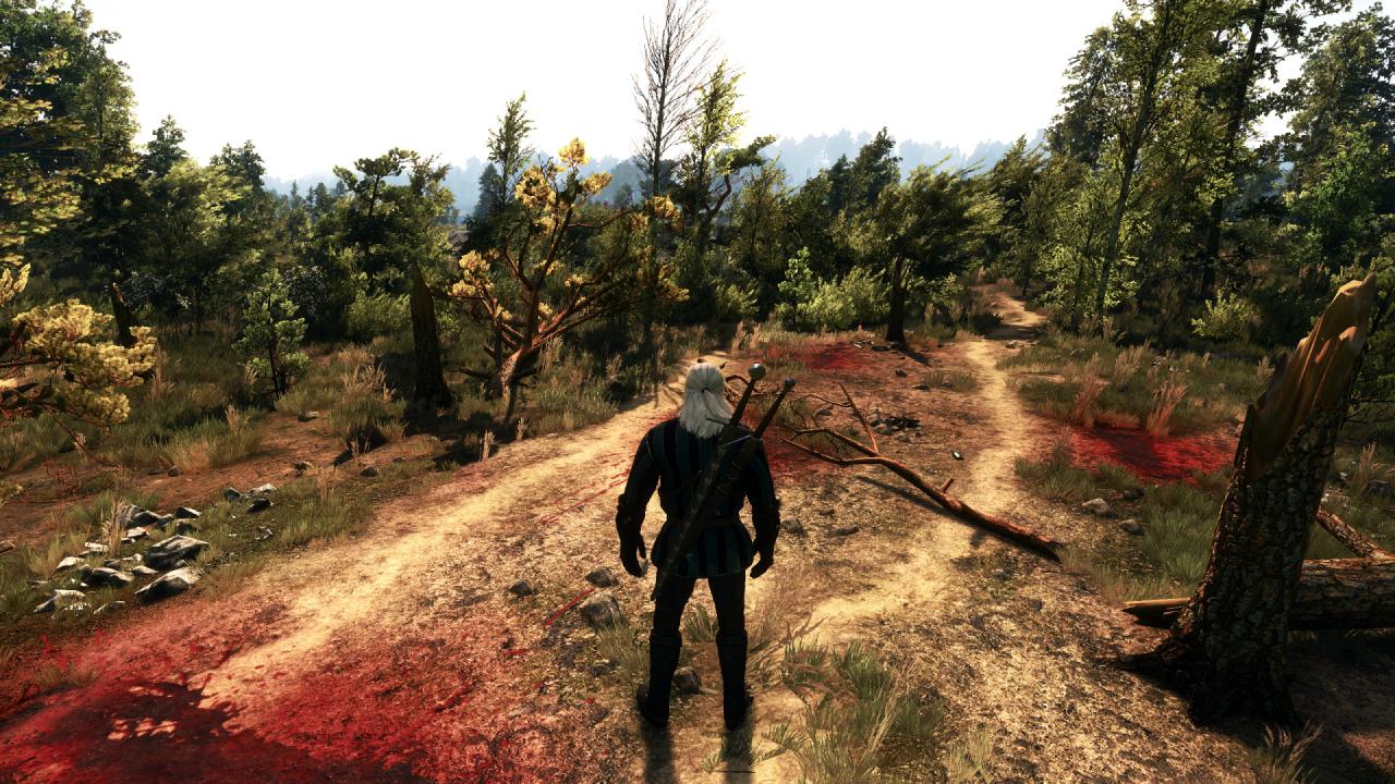 [27/05/2015] The Witcher 3 PCGH-Enthusiast (Hoch) (15)