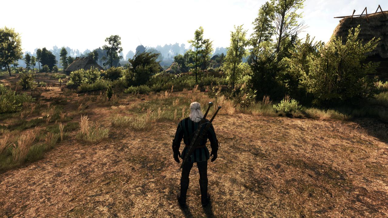 [27/05/2015] The Witcher 3 PCGH-Enthusiast (Hoch) (16)